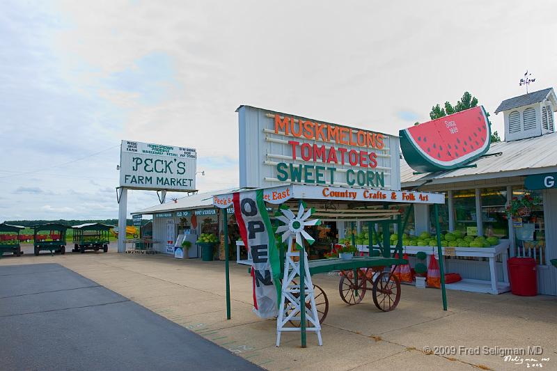 20080718_131411 D3 P 4200x2800.jpg - Peck's Farm Market, Spring Green, WI